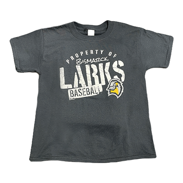 Jersey Giveaway - Bismarck Larks