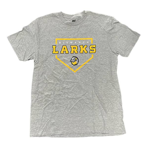 Home Jersey  Bismarck Larks Merchandise