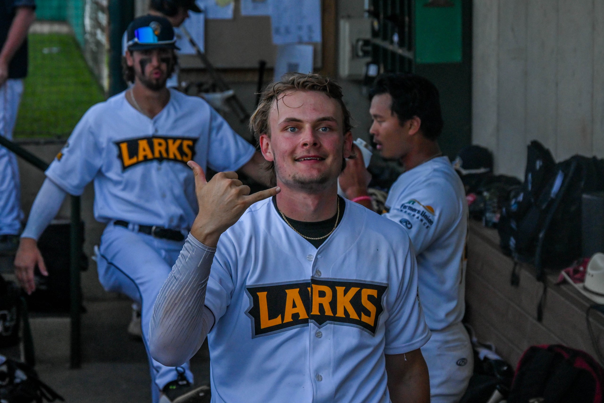 Larks Jerseys  Bismarck Larks Merchandise