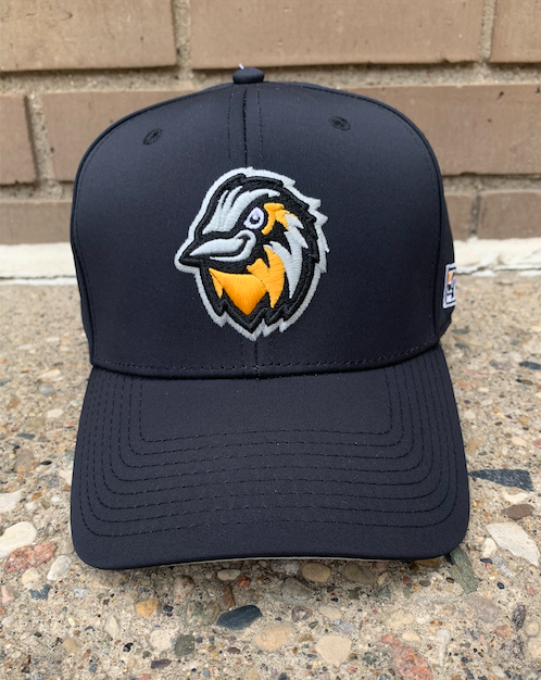 Two Summer Collegiate Baseball Teams Forge Unique Collaboration to Embrace  the Spirit of…Motorboating? - Bismarck Larks